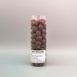 Myrtilles lyophilisées & Chocolat Noir